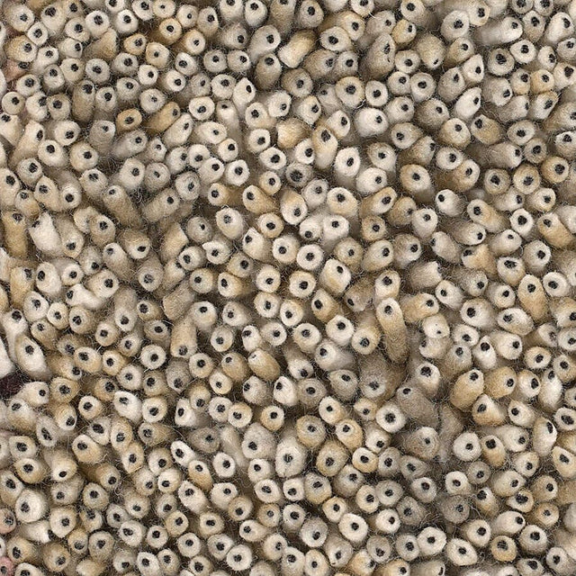 Chandra Ambiance Amb4275 Beige / Black Rugs.