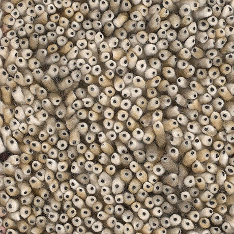 Chandra Ambiance Amb4275 Beige / Black Rugs.