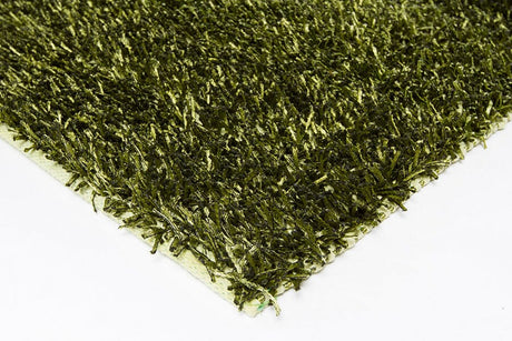 Chandra Anubis Anu5110 Green / Black Rugs.