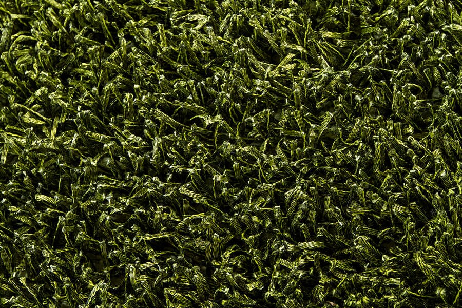 Chandra Anubis Anu5110 Green / Black Rugs.
