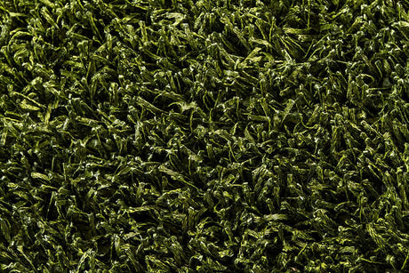Chandra Anubis Anu5110 Green / Black Rugs.