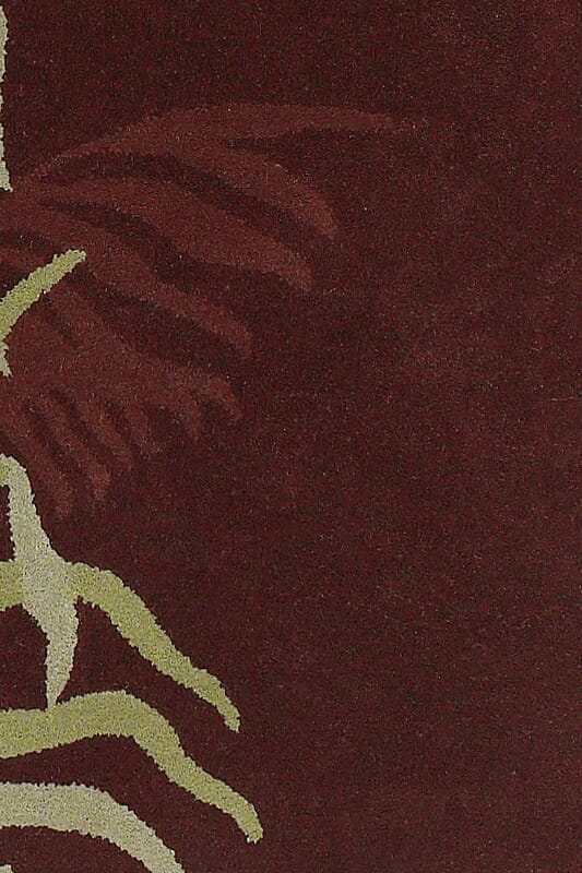 Chandra Aschera asc-6403 Brown Rugs.