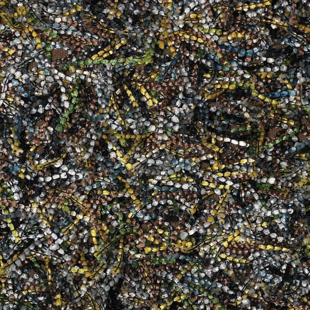 Chandra Astrid ast14300 Multi-Color Rugs.