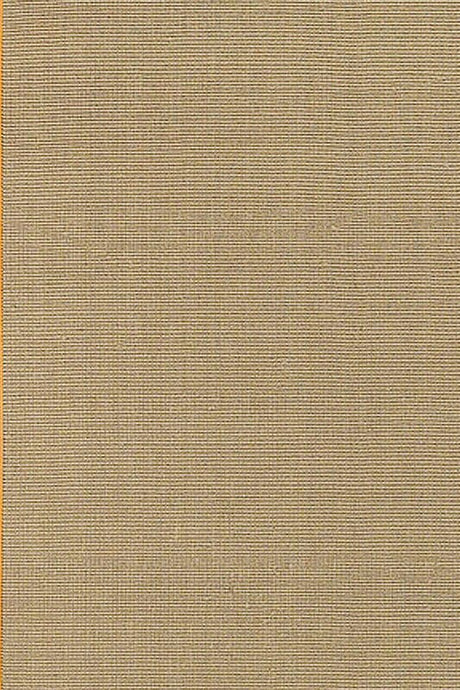 Chandra Bay bayora Tan & Ivory Rugs.