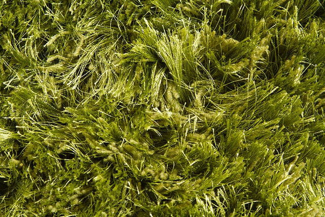 Chandra Celecot cel-4705 Green Rugs.