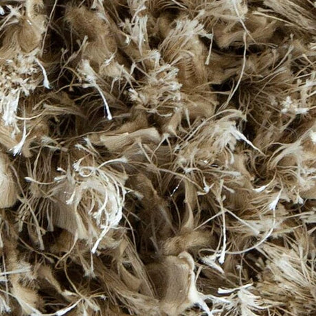 Chandra Diano Dia-29502 Beige Rugs.