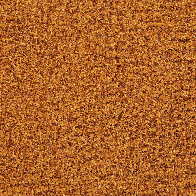 Chandra Ensign ens16604 Orange Rugs.