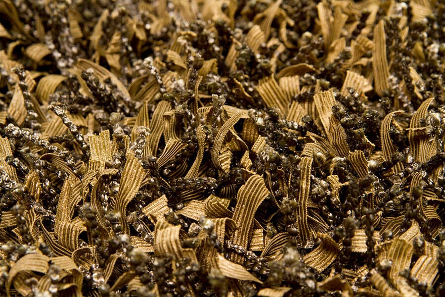 Chandra Gianna gia19002 Beige Rugs.