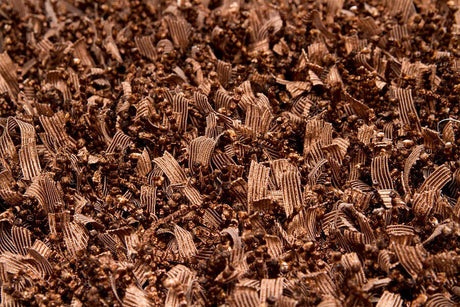 Chandra Gianna gia19003 Brown Rugs.