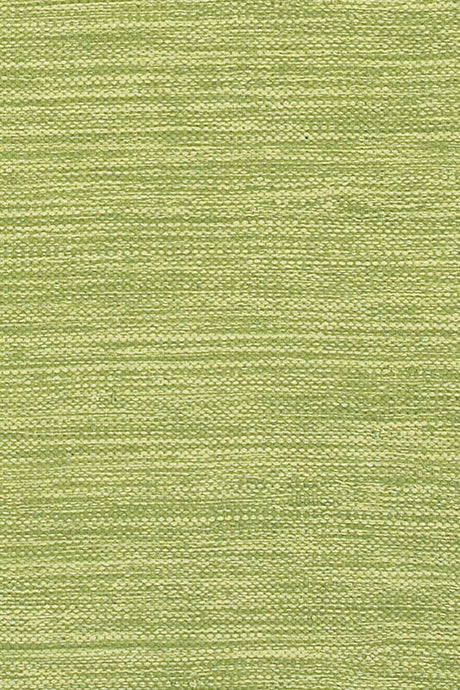 Chandra India ch-ind-6 Green Rugs.