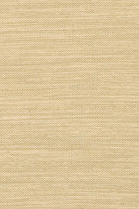 Chandra India Ind8 Beige Rugs.