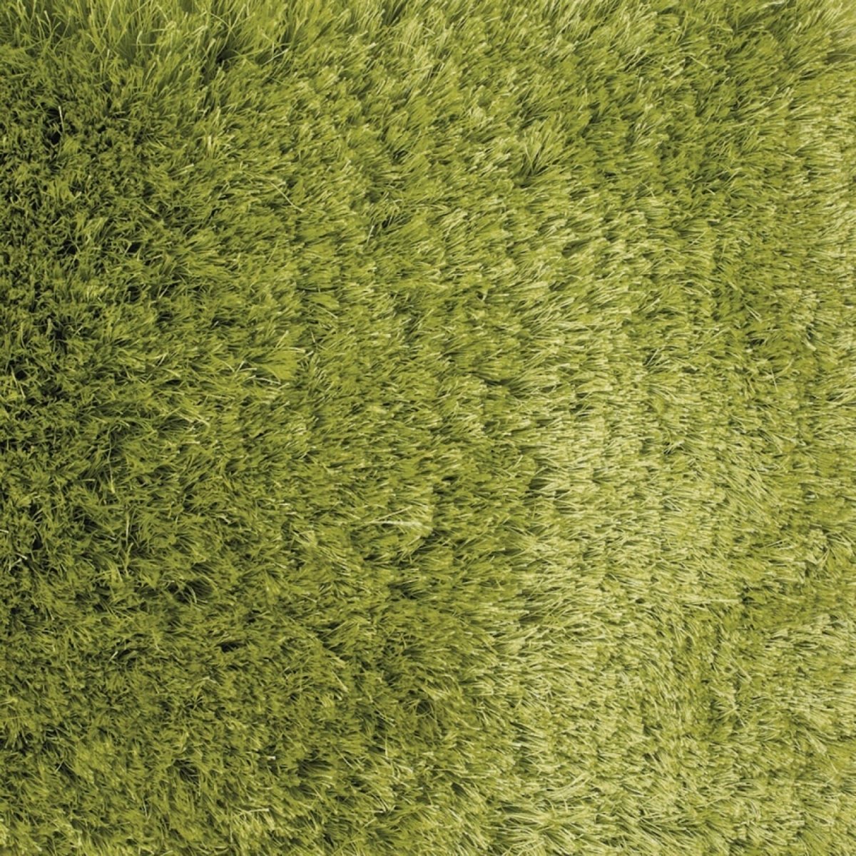 Chandra Naya nay18800 Green Rugs.