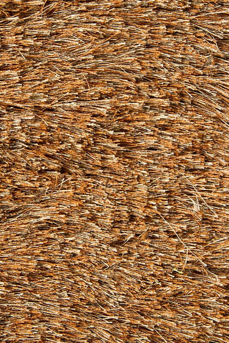 Chandra Naya nay18803 Brown Rugs.