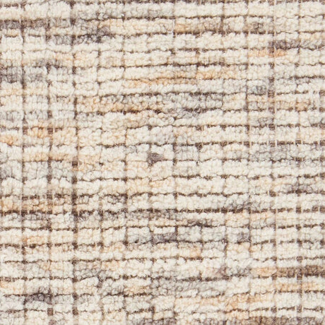 Chandra Oasis Oas43402 Beige Rugs.
