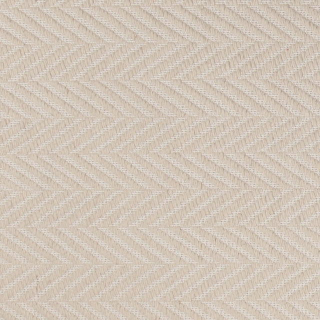Chandra Paisley Pai-47300 Ivory Rugs.