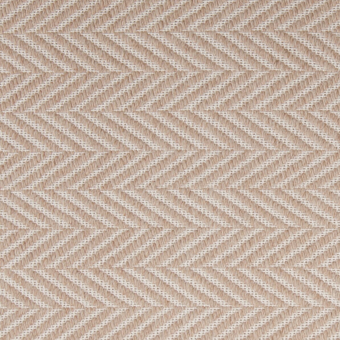 Chandra Paisley Pai-47301 Tan Rugs.