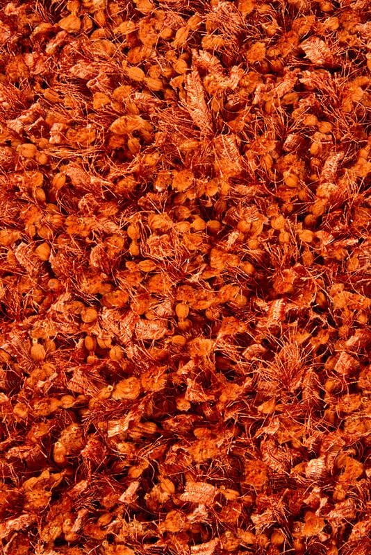 Chandra Riza riz19501 Brown Rugs.