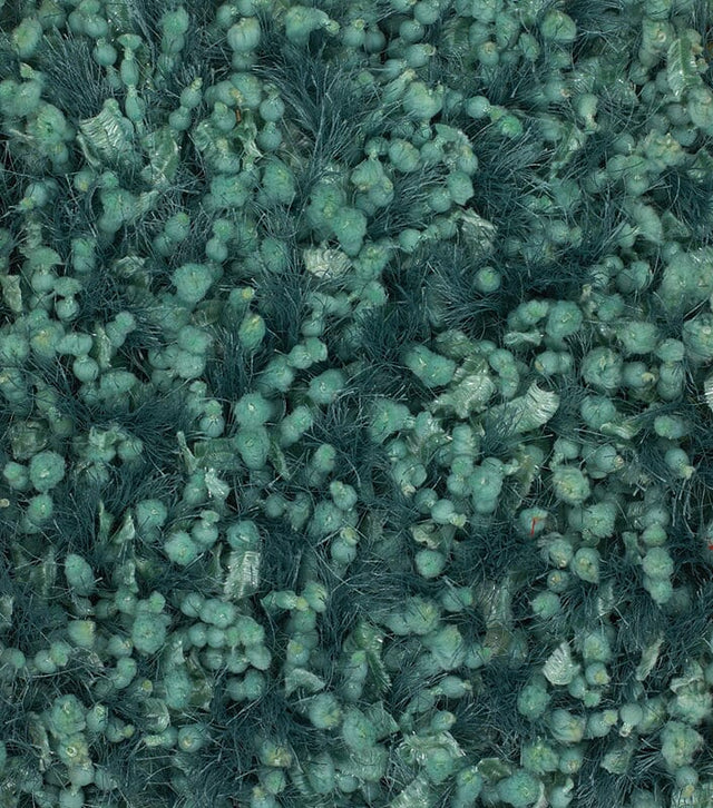 Chandra Riza riz19504 Blue Rugs.