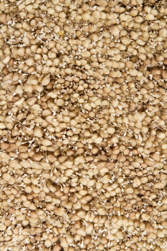 Chandra Sterling ste21800 Tan & Ivory Rugs.