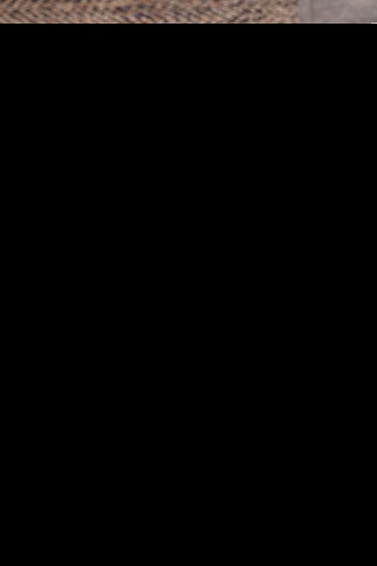 Chandra Tenola Ten37601 Black Rugs.