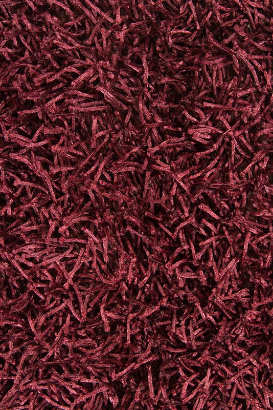 Chandra Zara zar14504 Black Rugs.