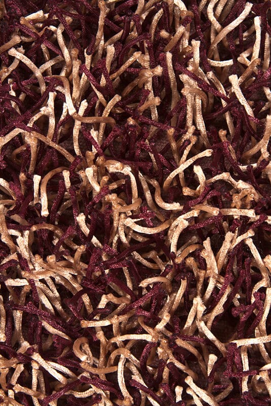 Chandra Zara zar14509 Brown Rugs.