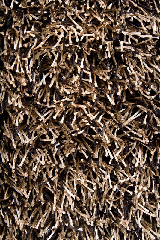 Chandra Zara zar14513 Black Rugs.