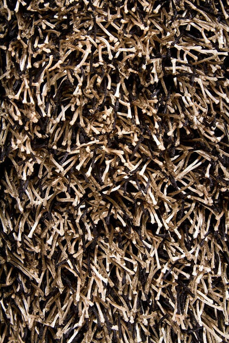 Chandra Zara zar14513 Black Rugs.