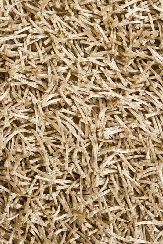 Chandra Zara zar14520 Beige Rugs.