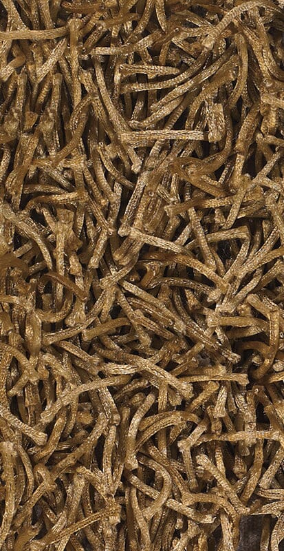 Chandra Zara zar14531 Brown Rugs.