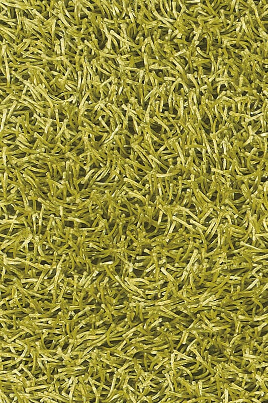 Chandra Zara Zar14536 Green Rugs.