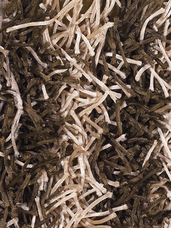 Chandra Zara zar14540 Brown Rugs.