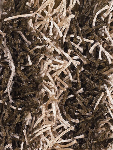 Chandra Zara zar14540 Brown Rugs.