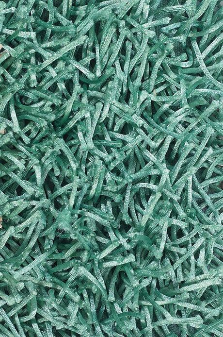 Chandra Zara zar14541 Blue Rugs.