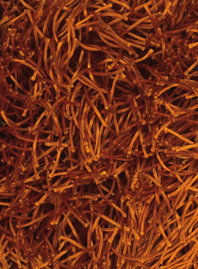 Chandra Duke DUK-20903 Orange and Rust rug, texture close-up