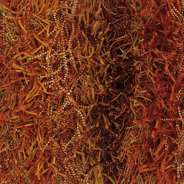 Chandra Kubu KUB-16500 Red and Orange and Brown rug, texture close-up