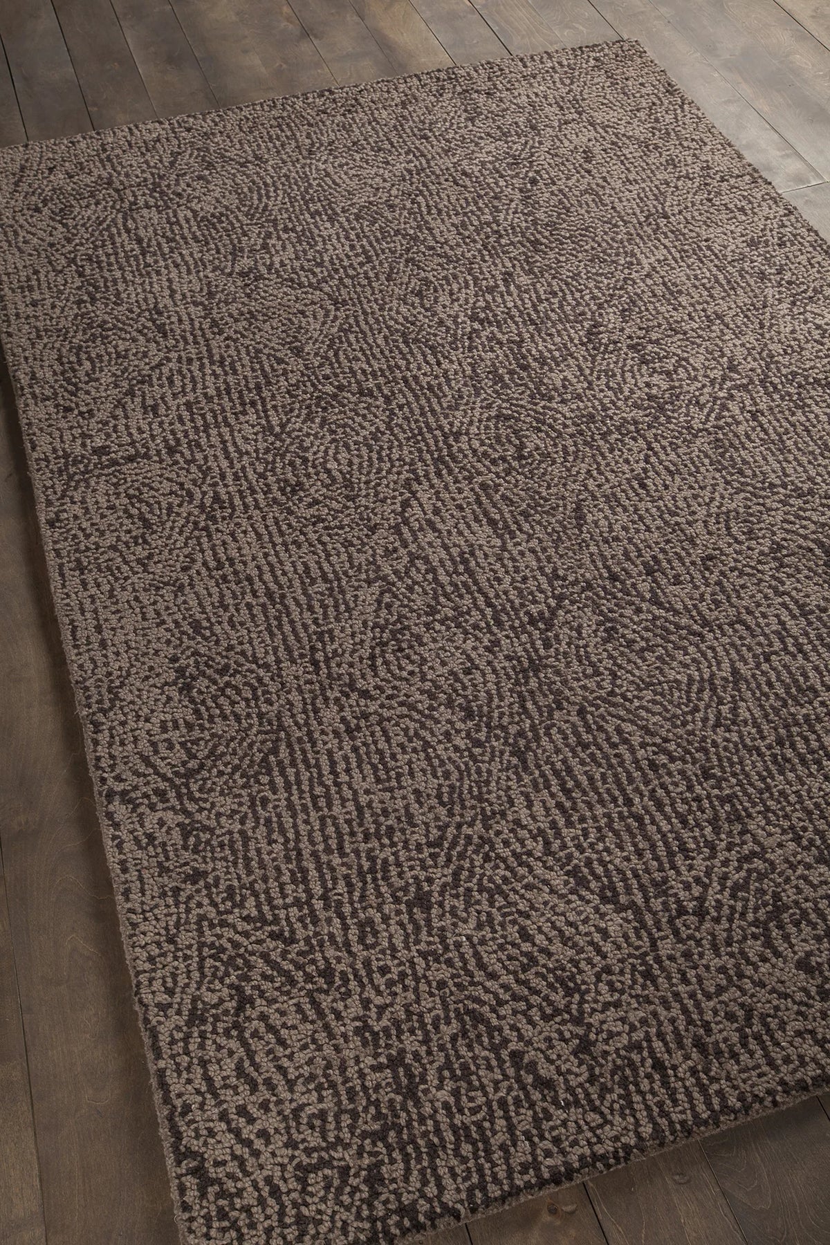 Chandra Navyan NAV-5004 Taupe and Brown rug, angled side view