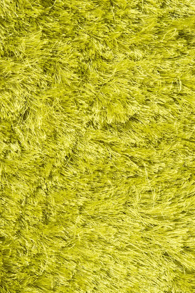Chandra Naya NAY-18800 Green rug, texture close-up