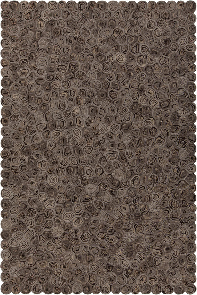 Chandra Patagonia PAT-46800 Taupe and Brown and Beige rug, flat view