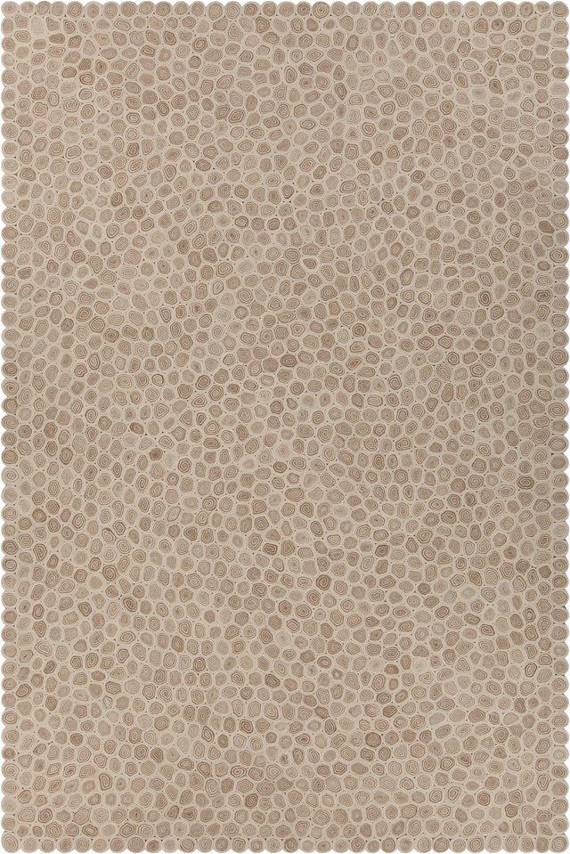 Chandra Patagonia PAT-46801 White and Brown and Beige rug, flat view