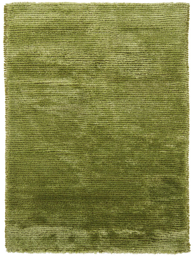 Chandra Royal ROY-15101 Green rug, flat view