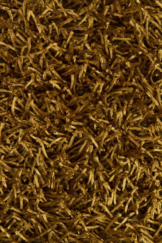 Chandra Zara ZAR-14505 Gold rug, texture close-up