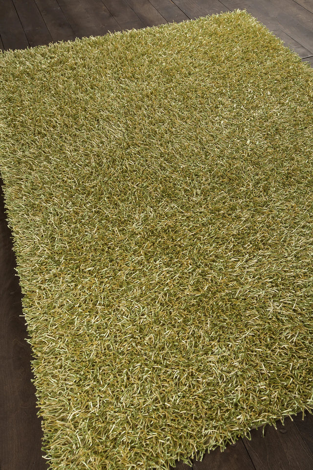 Chandra Zara ZAR-14511 Green and Yellow rug, angled side view