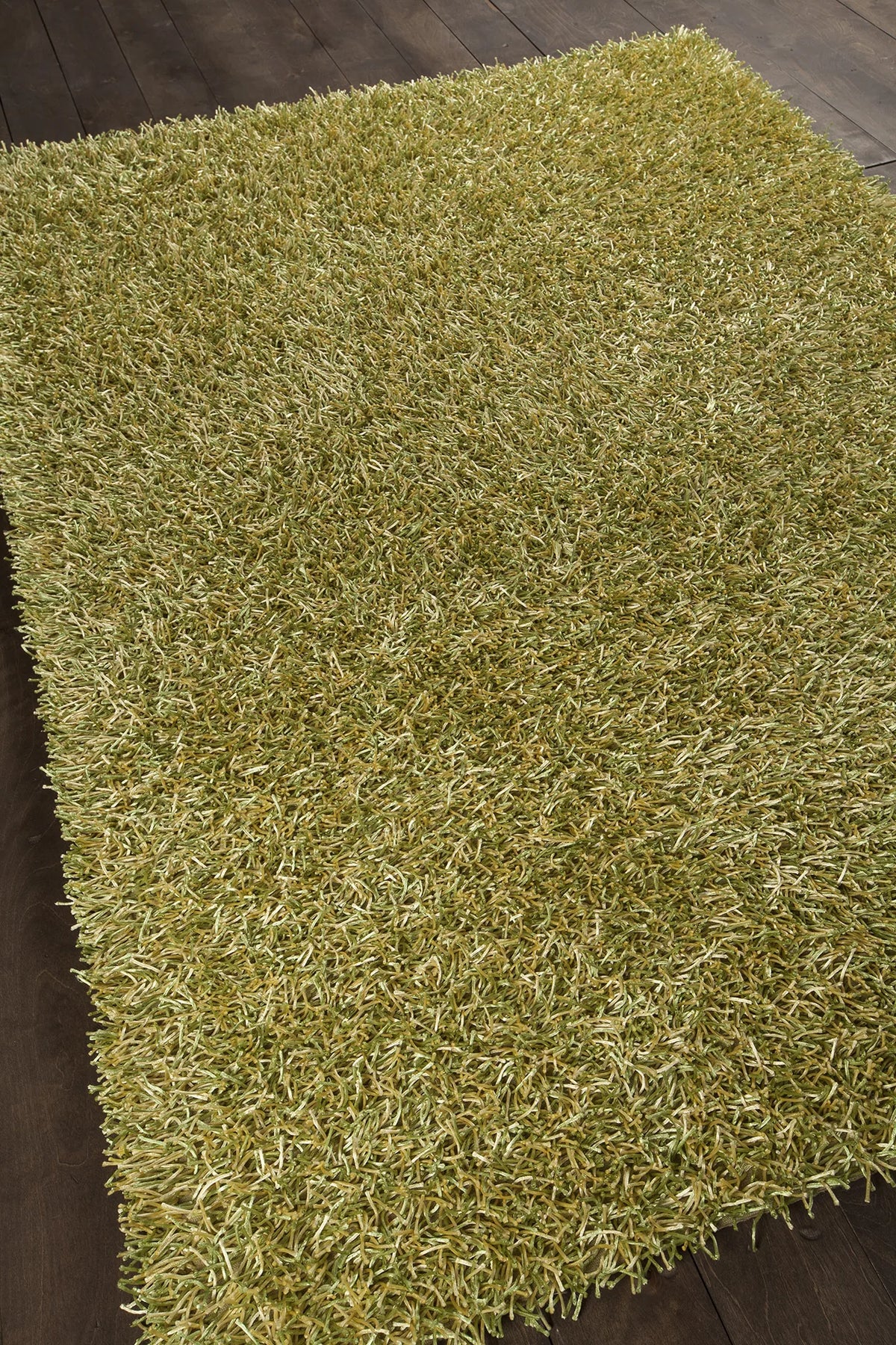 Chandra Zara ZAR-14511 Green and Yellow rug, angled side view