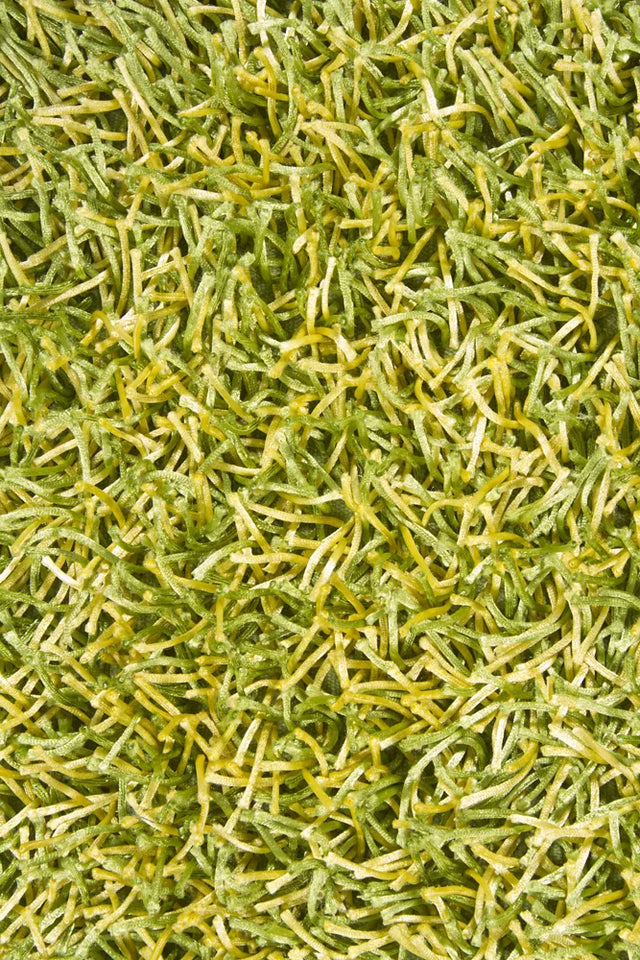 Chandra Zara ZAR-14511 Green and Yellow rug, texture close-up