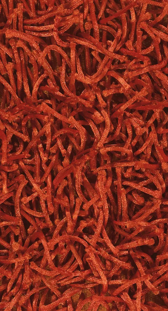 Chandra Zara ZAR-14524 Rust rug, texture close-up