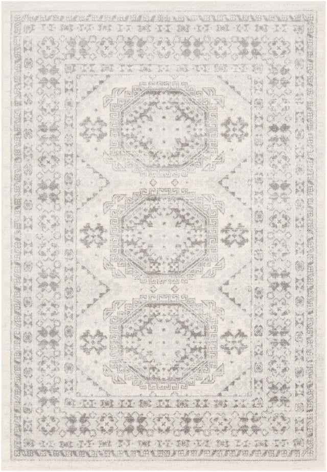 Surya Chester Che-2309 Light Gray, Medium Gray, Khaki Rugs.