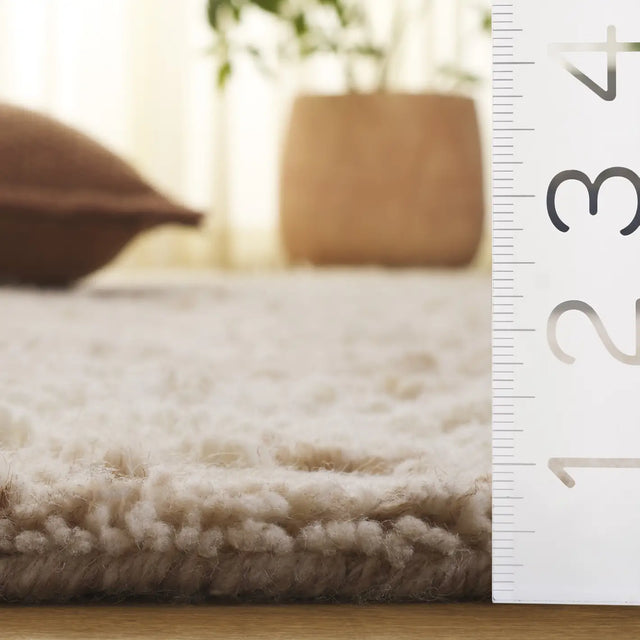 Safavieh Vermont 4'-0" x 6'-0" Rug in Beige / Ivory