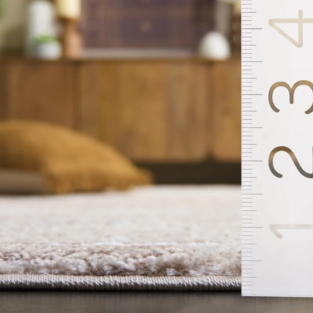 Safavieh Northport 800 4'-0" x 6'-0" Rug in Taupe / Ivory
