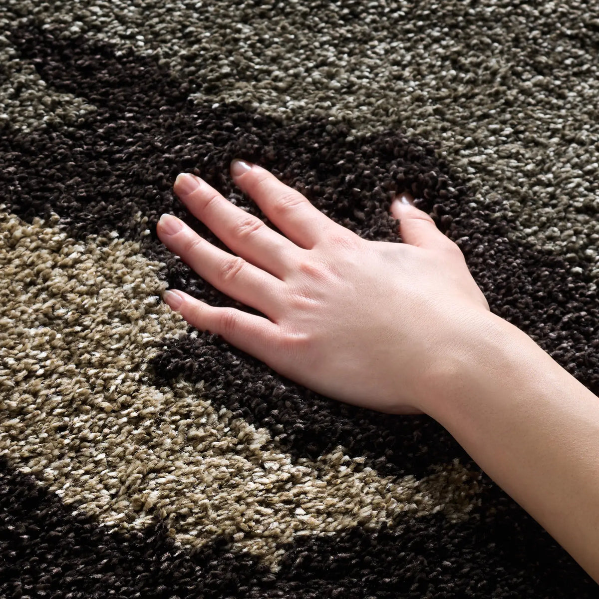 Safavieh Florida Shag 4'-0" x 6'-0" Rug in Beige / Multi